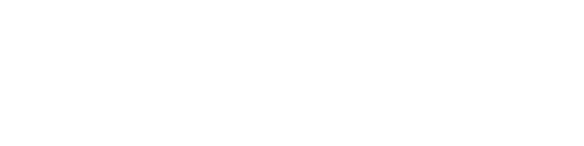 IBEX Biomedical Solutions